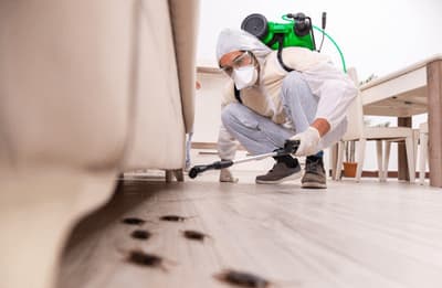 pest control Udine