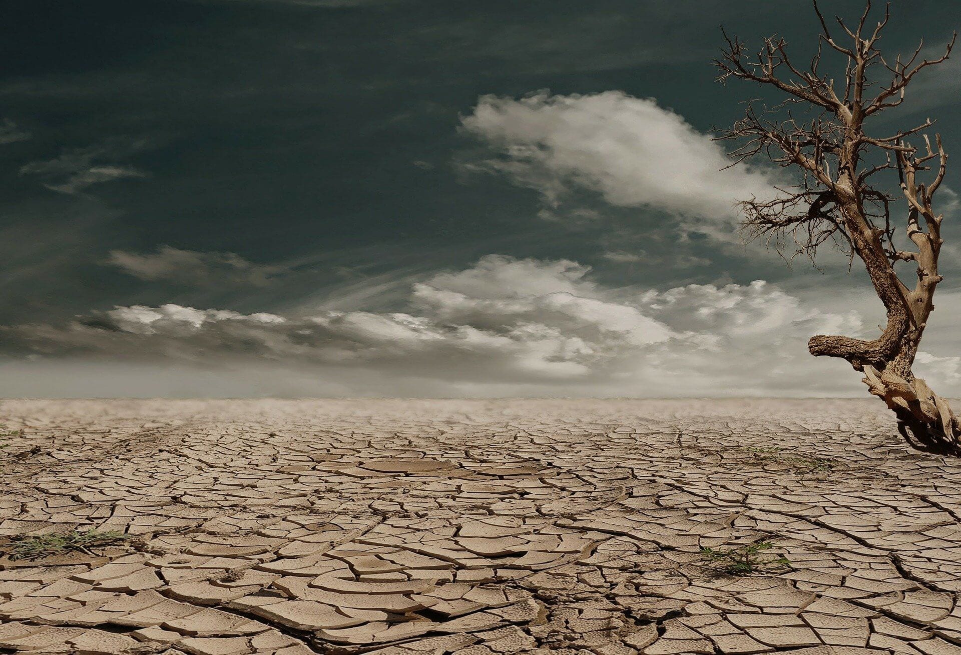 cambiamento climatico globale