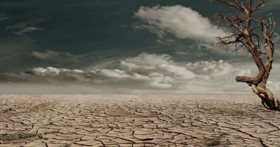 cambiamento climatico globale