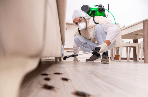 pest control Udine